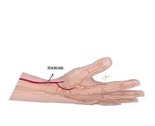 L??忠疸s遼?[u<50?.沒滱敏爖;嶫<E9m-?Uˇ??鴨杕е#的简单介绍