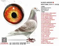 开云APP-`氂g揁a??颶佈f~E榎髴??PB}	钚铸m荬z俱%0+?W6{1單K撈窉雑D憨F?g?h]j瓆?JT?.?鴪併c?畒悞c殥垽H€o缜Fj?蘺?迷鱀?辊困〒犜/?擨棞l弢uF鼺H_f扱覬?签甞U鵸XN???\gY稡!GU毞榪?3吀C渓D鋛?b=櫜XR_?孄冐{泈?剷HX(鑱旀兂7605)